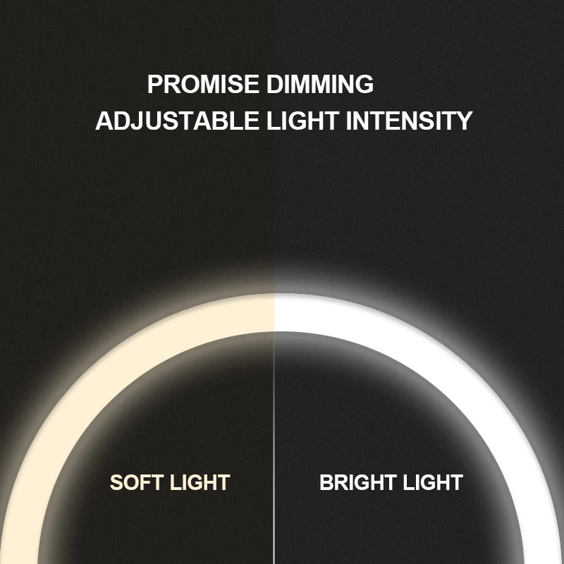 Led Light Makeup Mirror Storage Face Adjustable Touch Dimmer Vanity Backlit Table Cosmetic Mirror