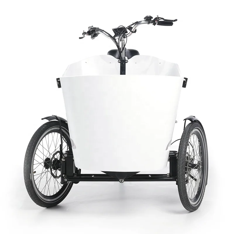 electric paPassenger tricycle cargo trike with three seats new three wheel adult car fashionable leisure Family use cargo trike