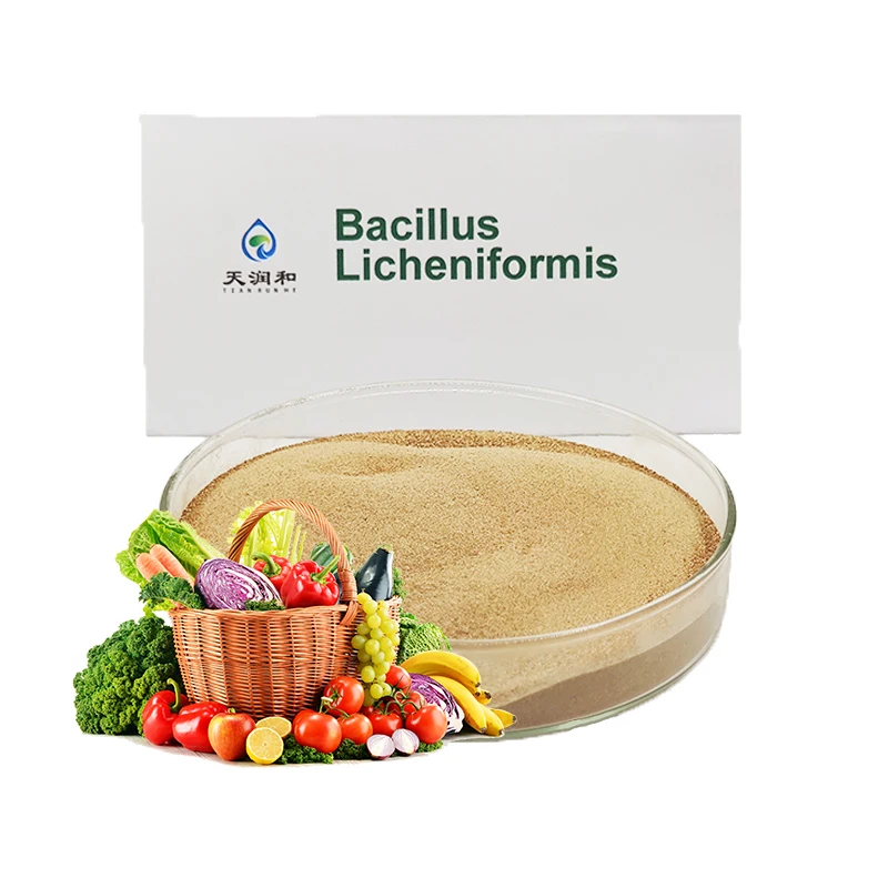 Probiotics Bacillus Licheniformis Beneficial Bacteria For Strawberry