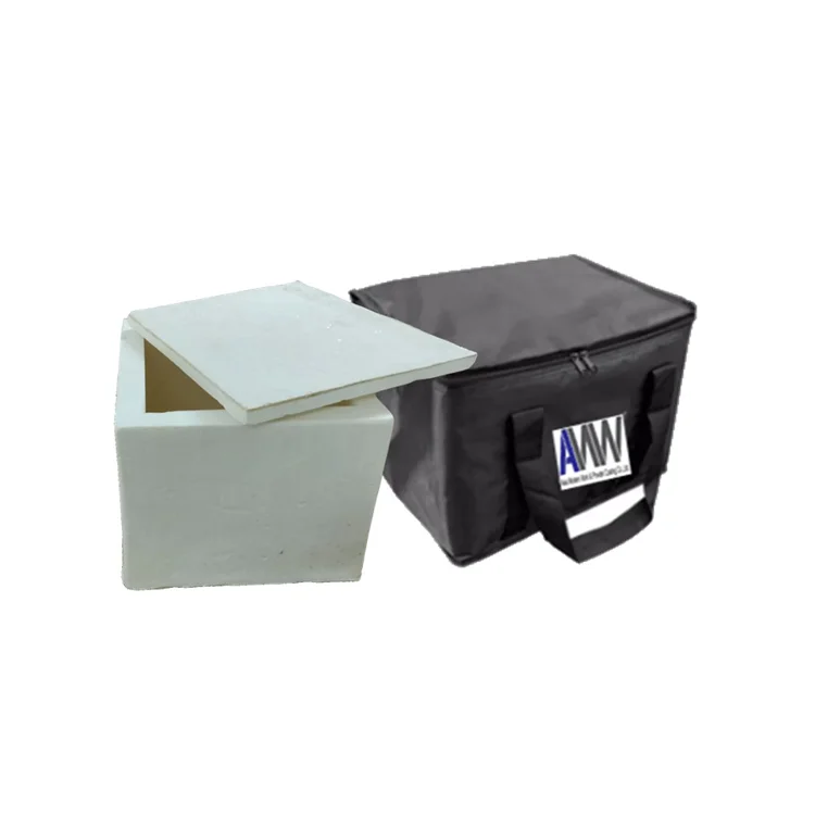 Premium Temperature Controller Box PU Box-20 Cold Chain Logistics Cold Packaging Cooler Bags from Thailand