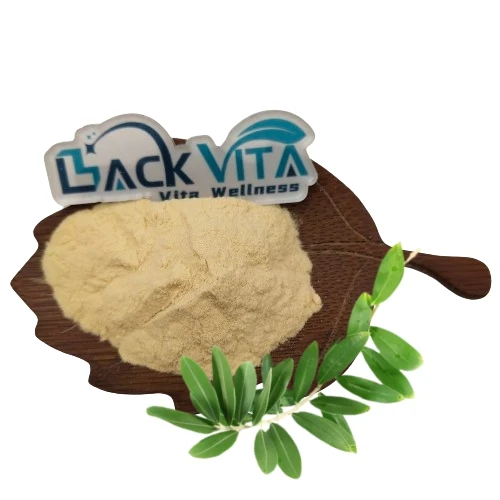 Olive Leaves extract 10% olive leaf extract hydroxytyrosol powder lucidum olive leaf extract oleanolic acid