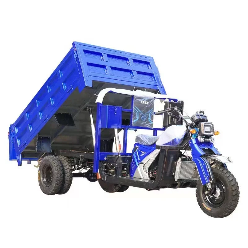 Premium Heavy Duty Dump Motorized Tricycle Cargo Tuk Tuk Top Choice for Efficient Transportation on Alibaba International_1
