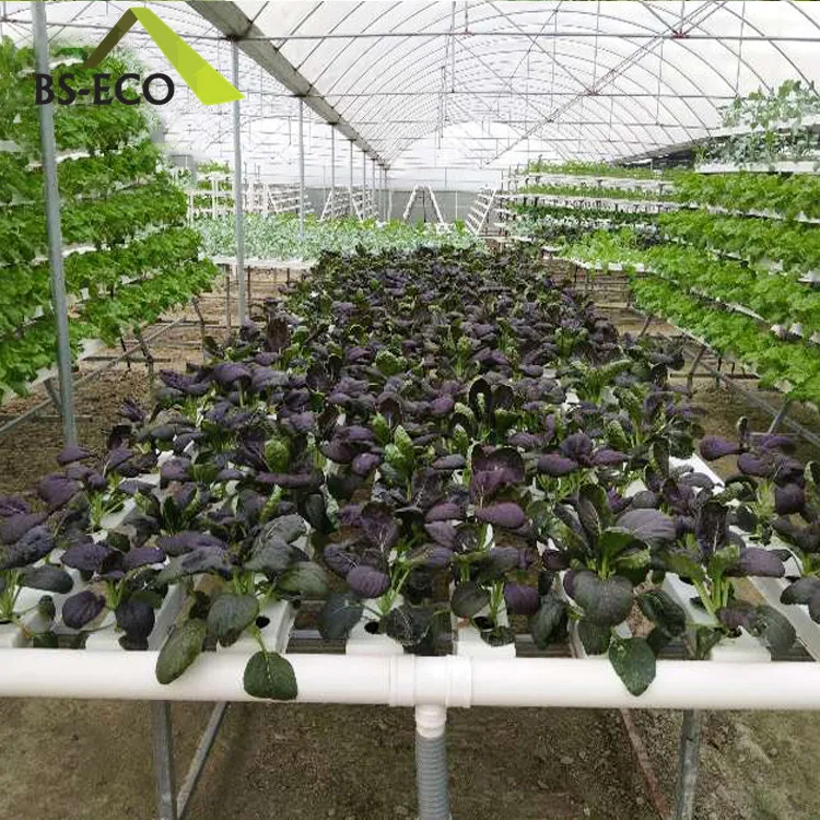 A Frame Vertical Flat Planting Frames Hydroponic Growing System