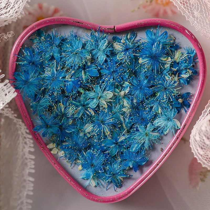 12pcs/bag Symplocos Paniculata DIY Nail Art Candle Soap Making Natural Plant Eco-friendly Real Pressed Flower