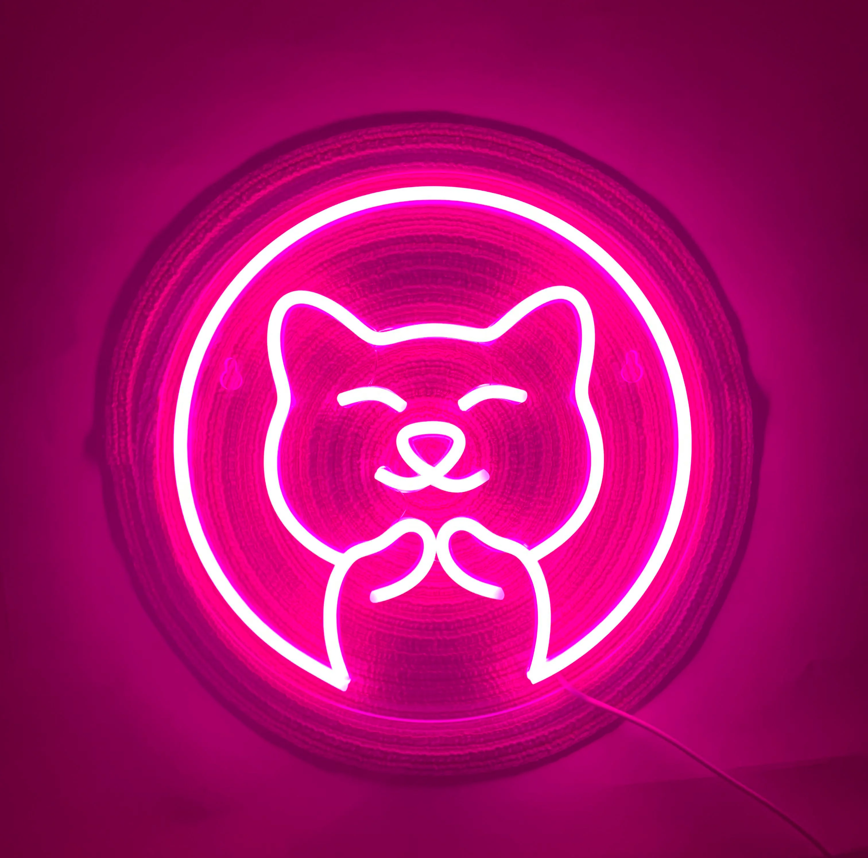 Custom Pink Silicone Neon Strip Night Light 5V USB Powered Indoor Home Office Use Cute Puppy Design Personalized Plastic Neon