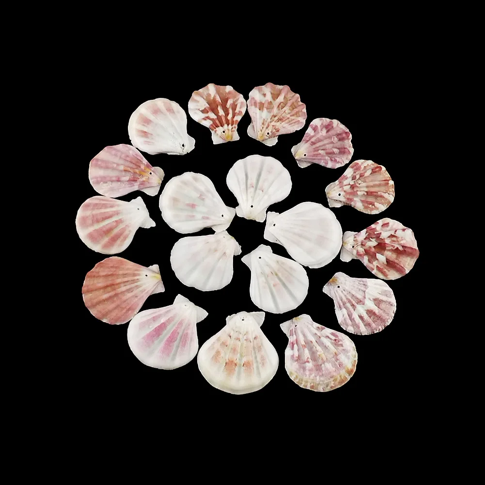 Wholesale Seashells Factory Price for DIY Natural Sea Shells Crafts  !!