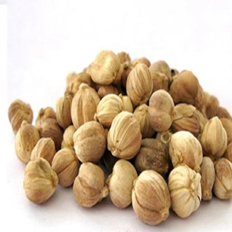 
High Quality 100% natural Coriander Seeds price supplier 