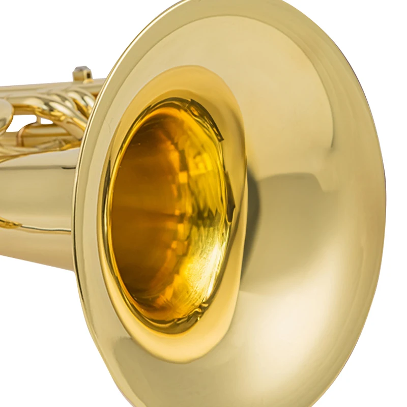 Excellent Intonation Baritones Yamahas YBH-301 Standard Level Musical Instruments for Beginners