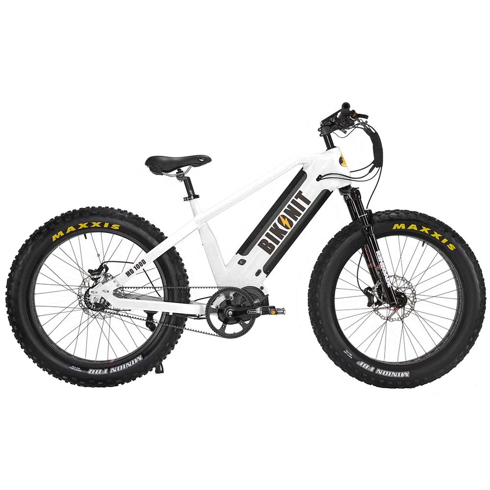 2020 newest dual battery 48v 1000w Bafang G510 M620 electric fat bike,electric bicycle with 120km long range