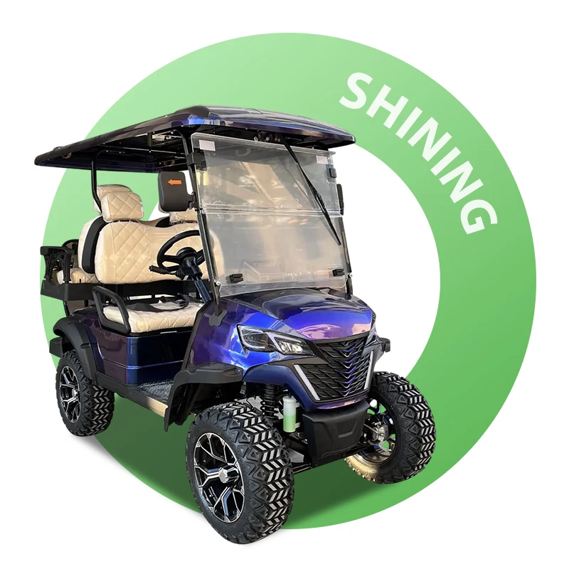 Shining Brand New 6 Person 300cc Gasoline Golf Car 6 Seater Gas Golf Cart