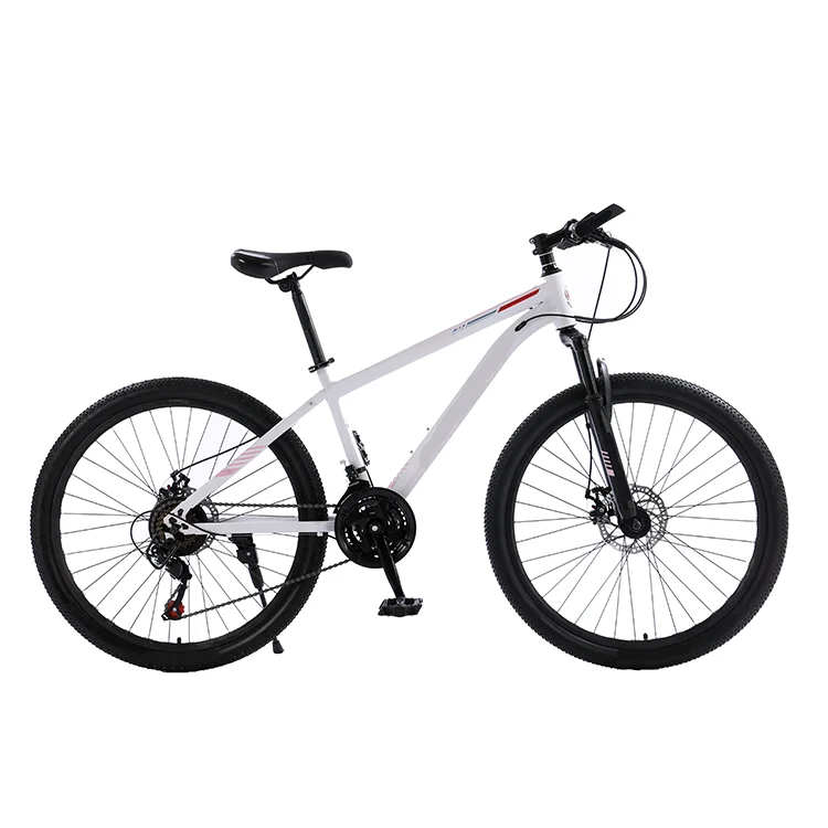 True fashion  bike, Popular bicycle, mountain cycle