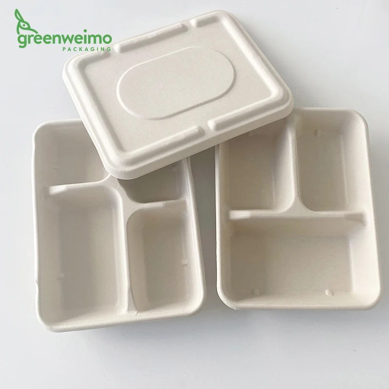3 4 5 6 compartment biodegradable sugarcane bagasse food container With Lid