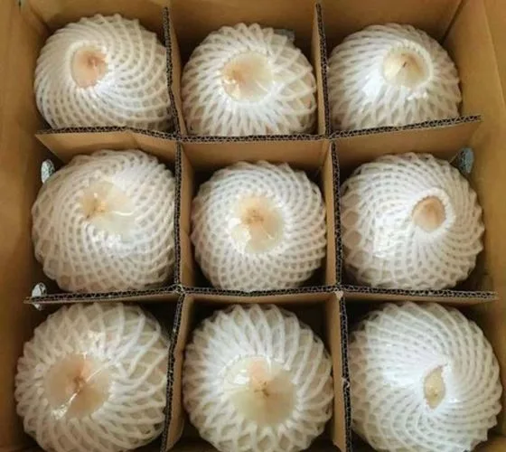 Extra Product Grade of Tropical Fruits of Young Coconuts White Color 100% Organic Sweet Taste Thailand Export Large Market