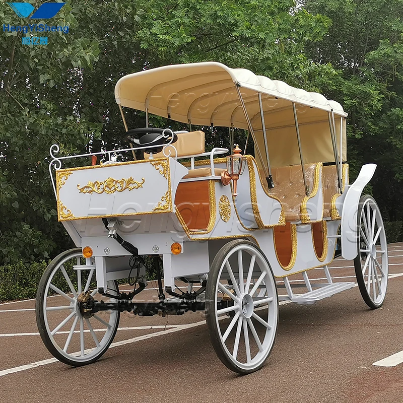 Wonderful wedding Sightseeing Horse Carriage With Canopy/Sightseeing Electric Carriage
