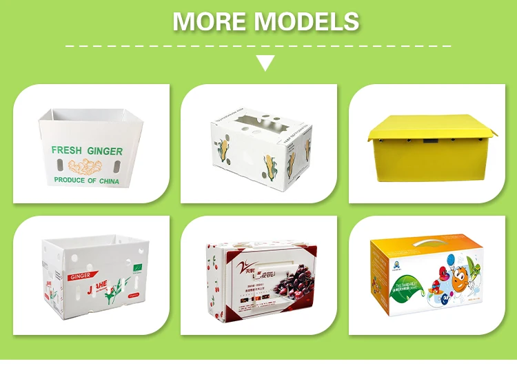 Corruone foldable waterproof Fluted Polypropylene Correx Storage Box PP fresh fruit asparagus packing delivery box container