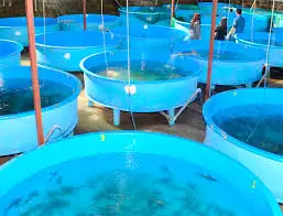  Кислородный генератор для пруда 10 л