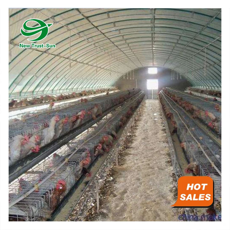
automatic chicken cages poultry farming equipment heaters greenhouse 