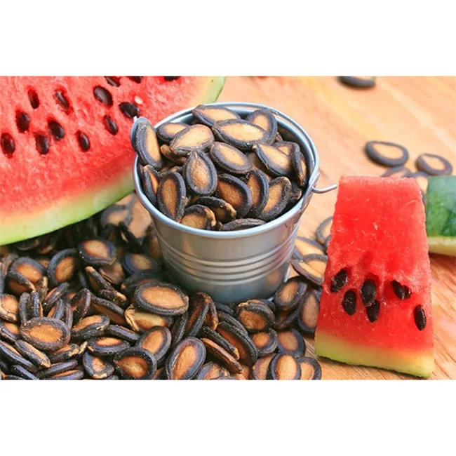 Medium Size Exporters Agriculture Eat Kernels Dried Black Red White Watermelon Melon Seeds Kernels For Mix Nuts Wholesale