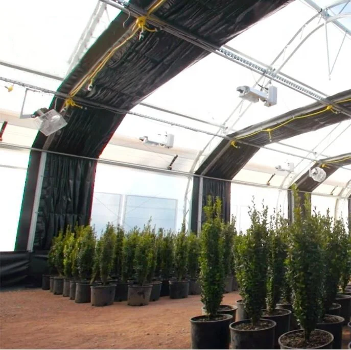 Tunnel Greenhouse for Agriculture