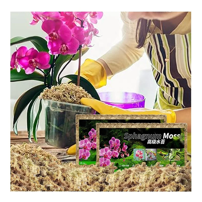 High Quality Eco-Friendly Orchid Planting Sphagnum Moss Long Fiber Clean Sphagnum Moss For Rooting Plants