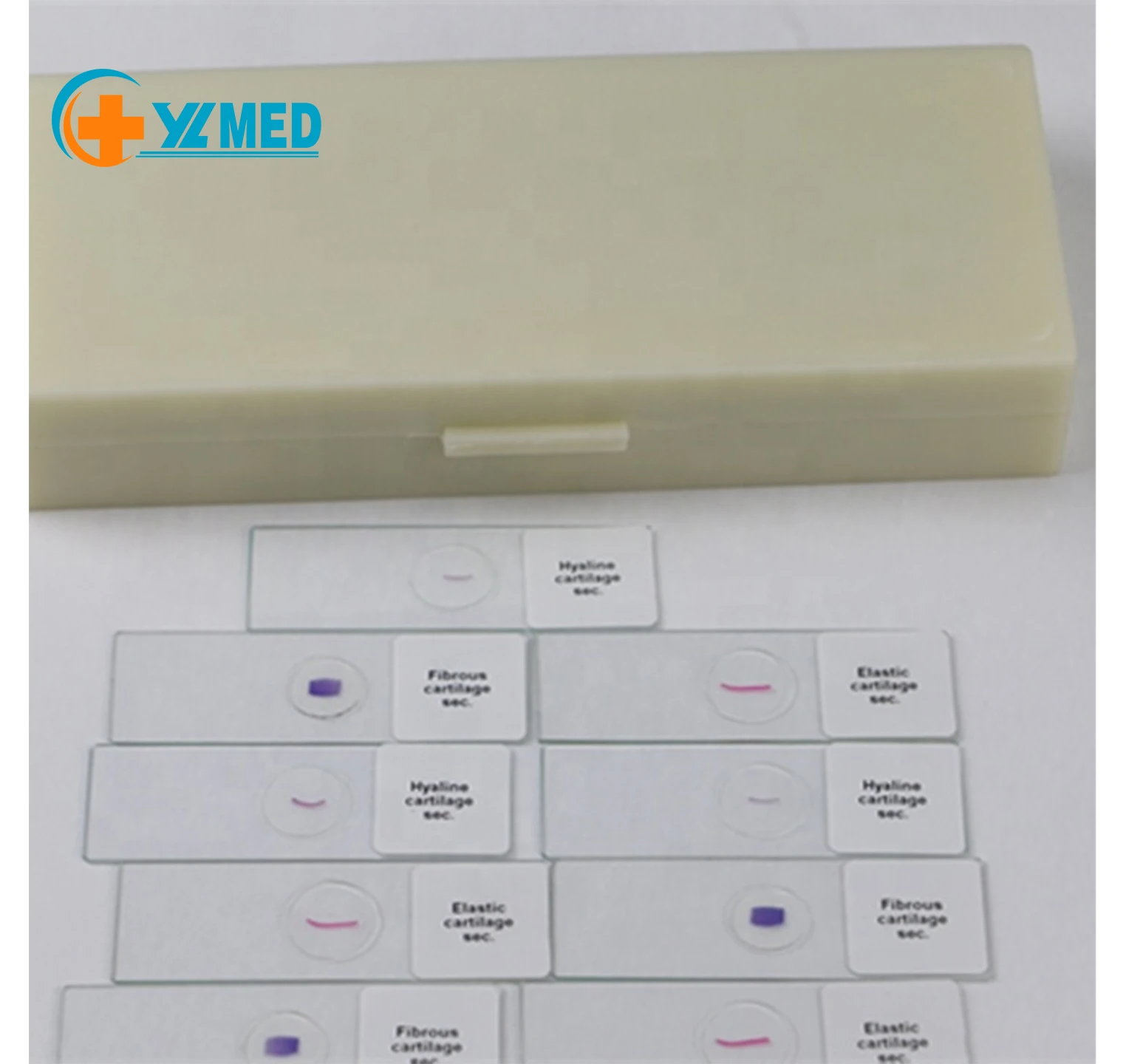 Laboratory apparatus zoology microscope slide for searching use
