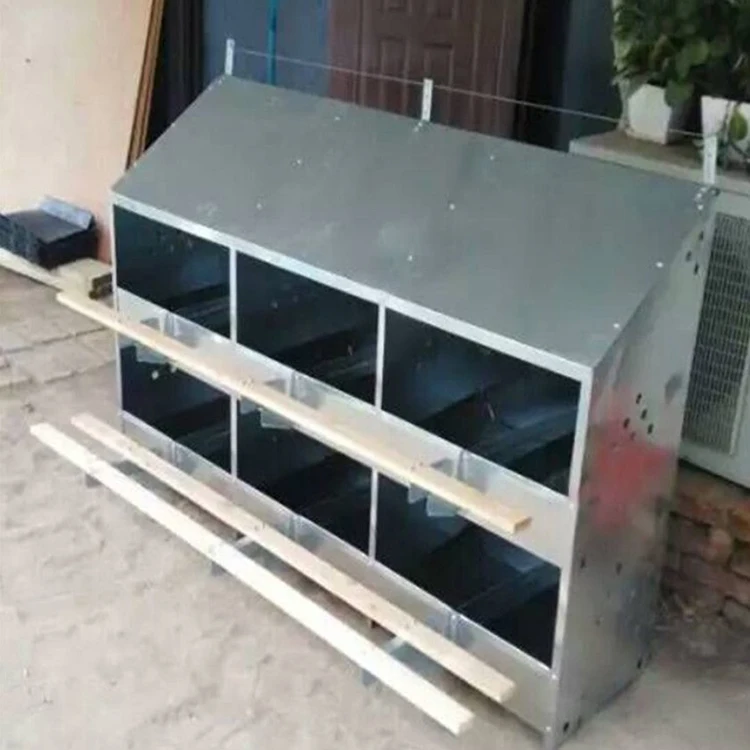 Poultry Equipment 12 Holes Metal Chicken Egg Laying Nest Box Hot Galvanized Sheet Chicken Nesting Box