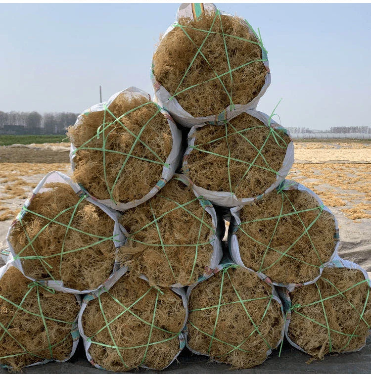 Китайский пищевой завод для приготовления супа, оптовая продажа, хорошая цена, обезвоженные овощи, морской мох, сушеный на воздухе морской мох