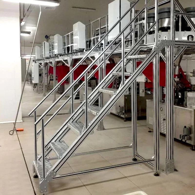 Mast Climbing Work Platform Suspended Working Elevated