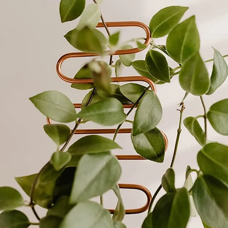 Small Metal Trellis For Potted Plants 6 Pcs Gold Trellis For Climbing Plants Indoor Mini House Plant Stake Trell