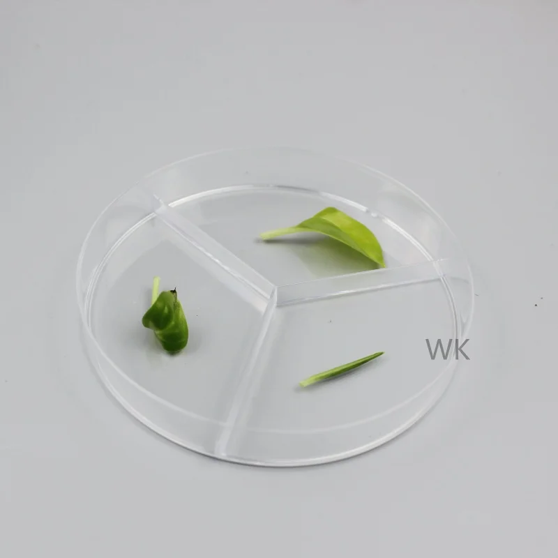 PS material plastic culture dishes for factory wholesale experiments are used for cell culture and bacterial research