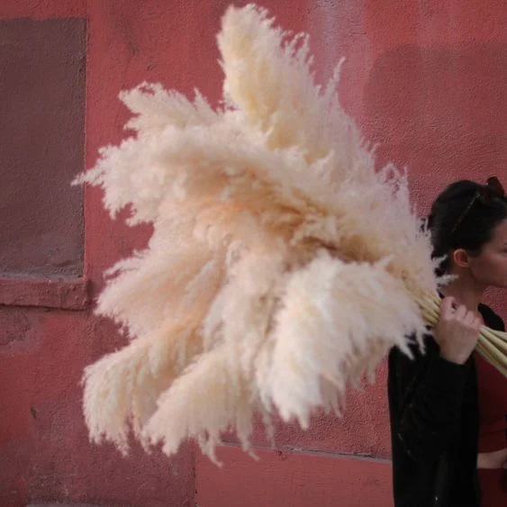 LD 45/60/120 cm 48 Inches White/Pink/Beige Fluffy Faux Small/Large Natural Dried Pampas Grass Pampas