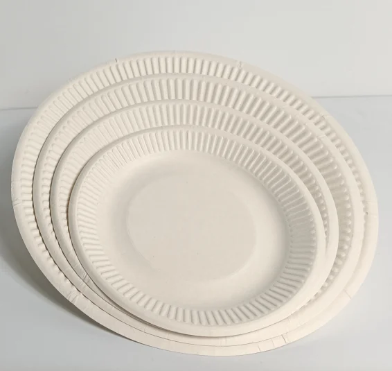 Disposable bagasse is 100% biodegradable, compostable and environmentally friendly 5 inch discs