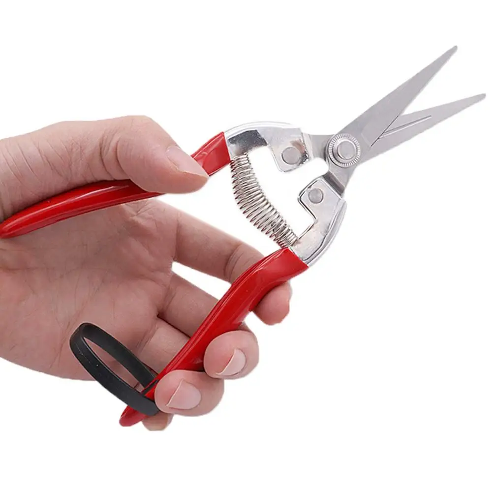 Comfort Grip PP TPR Handles Stainless Pruning Shears Fruit scissor Pruning Shears Set Heavy Duty Garden Supplies Garden Pruner