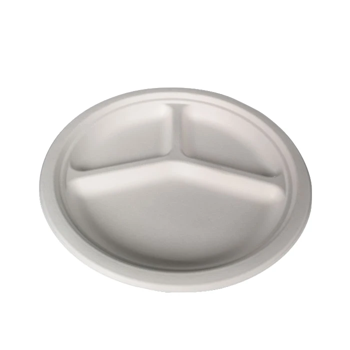 
biodegradable sugarcane fast food dishes and plates 
