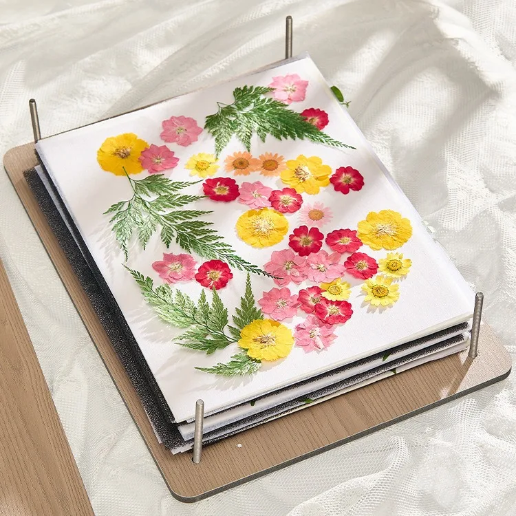 Wholesale Children Flower Press Kit Toys DIY Kids Preparing of Plant Specimens Wooden Natural Flower Art Set Kids Learning Toys