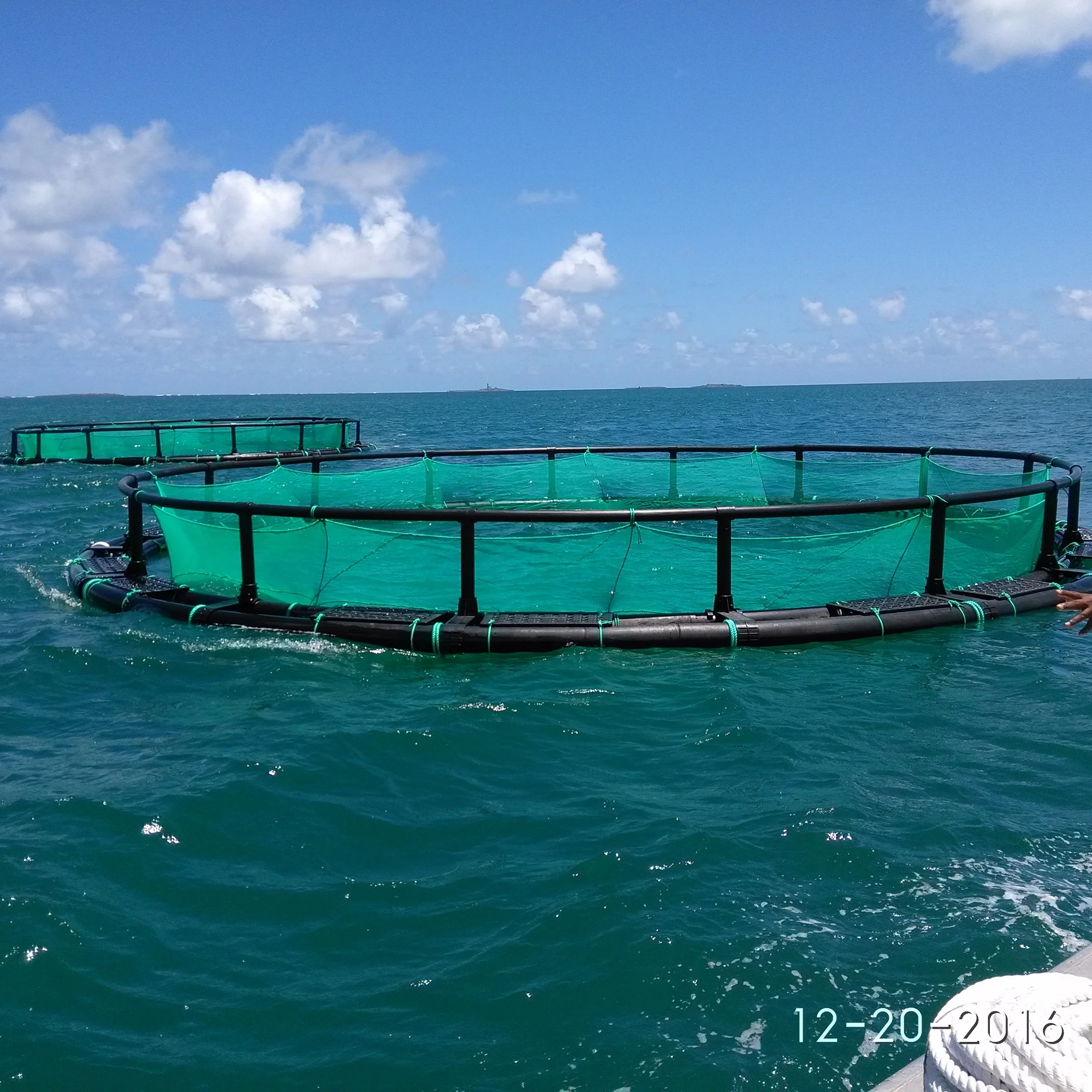 Qihang PE Circular aquaculture equipment plastic fishing farms floating net/cage