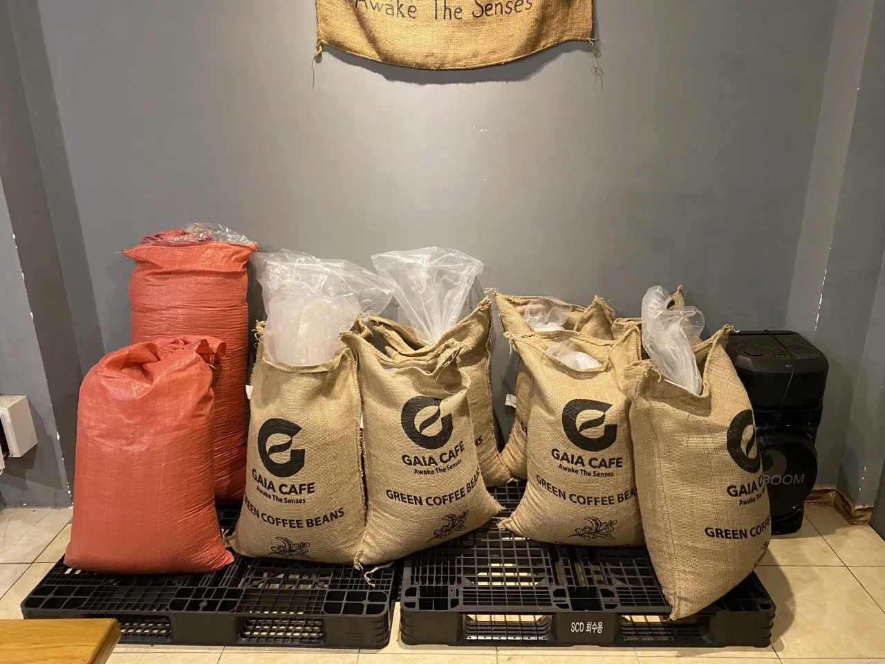 Roasted Robusta Arabica Coffee Beans Blend French Roast Vietnam Product Process Honey and Semi-Was Single Origin