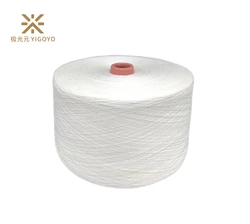 Spot supply Lesser Tencel  40s/1 knitting yarn raw  white yarn