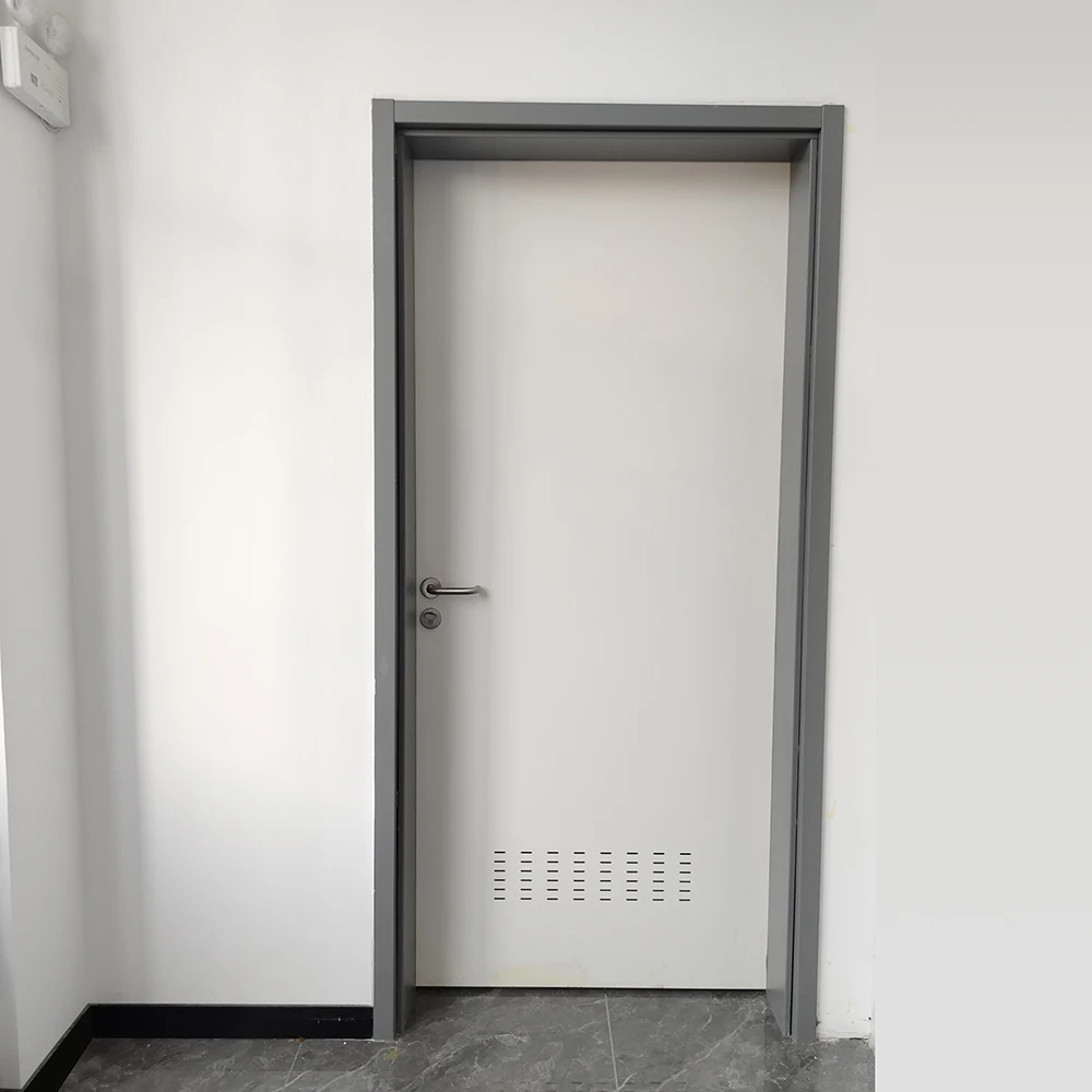 Customized Design High Quality Insulated Galvanized Steel Door Operating Room Door for Hospital  or Laboratory Door