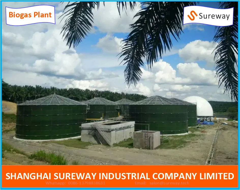 Промышленные органические сточные воды/канализационная Биогазовая установка