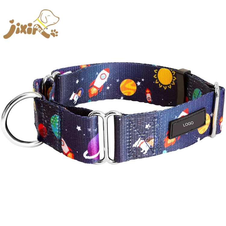 Wide Durable Martingale Training Collars for Dogs and Puppy