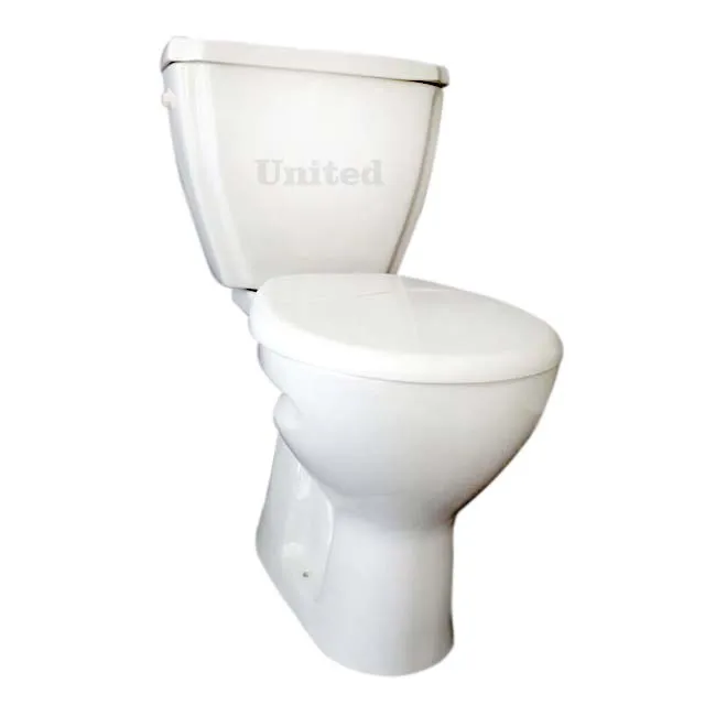 Irani WC Two Piece S / P Trap WC Sanitary Ware with Dual Flush System Soft Seat Cover and Bidet