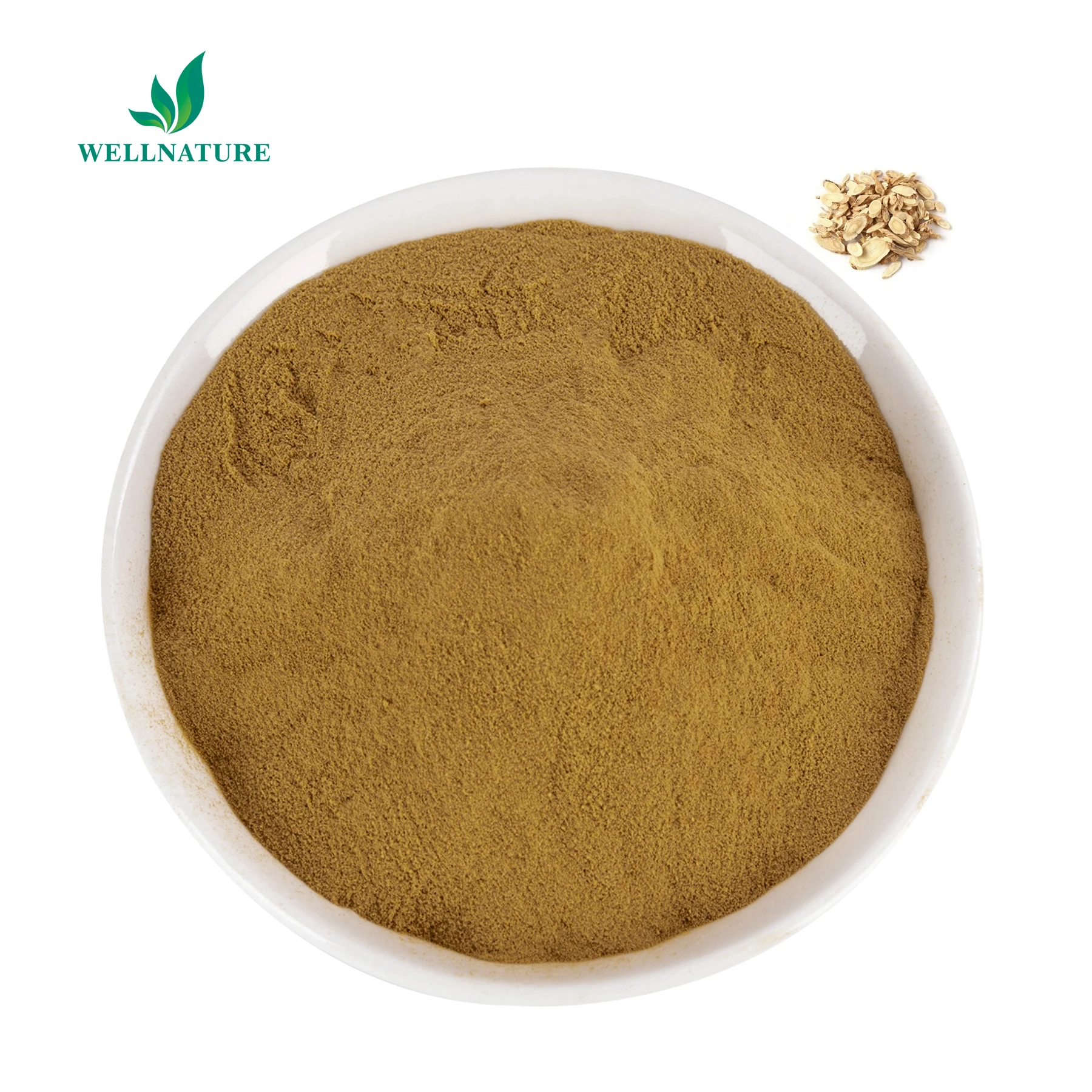 Factory Price Natural Astragalus Root Extract Powder 10:1 Astragalus Polysacharin