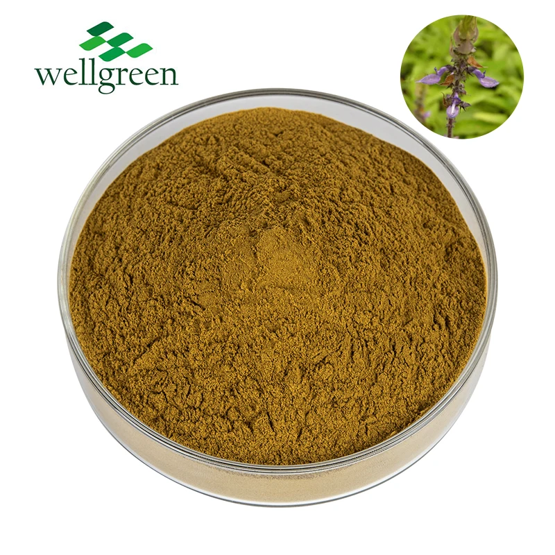 Manufacturer Coleus Forskohlii Root Extract Bulk Forskolin Powder 8% 10%