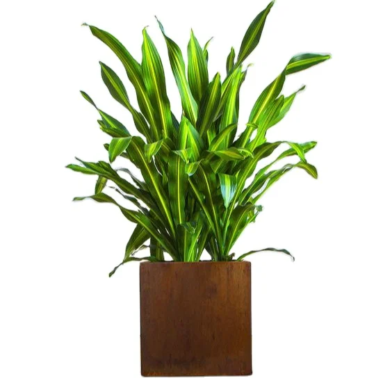 Outdoor Long Metal Rectangle Planter Corten Steel Rectangle Trough Planter Box corten steel round planter