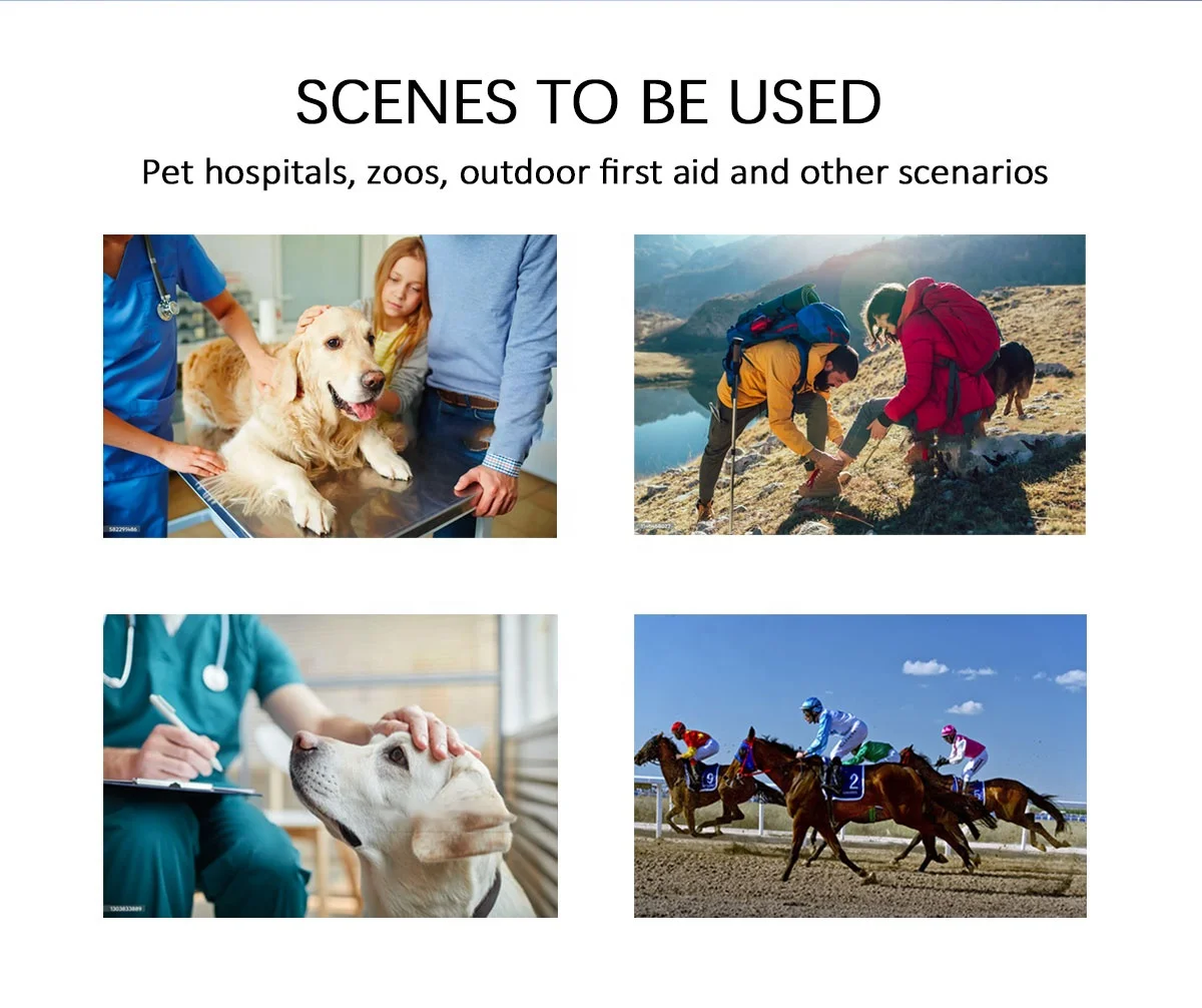 Medical Digital Portable X Ray Machine Handheld Fluoroscopic X-ray CarryX brand Touch LCD DR X Ray Unit