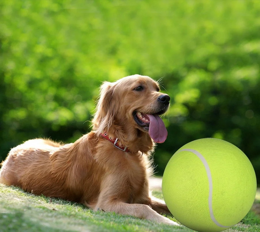 
Interactive Toy Dog Giant Tennis Ball For Pet Chew Toy, Big Inflatable Supplies Outdoor Toys 