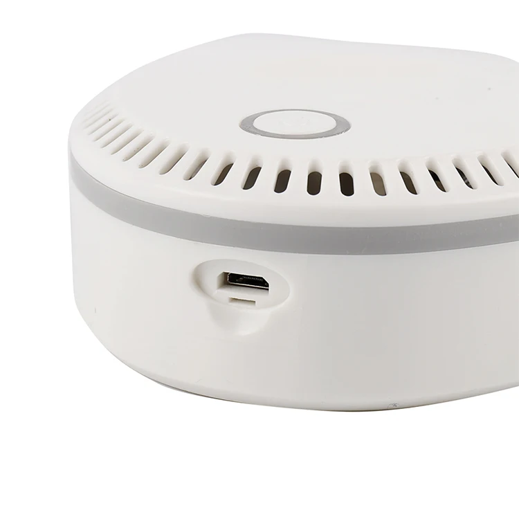 
2000mAh Li-on battery mini ozone generator for shoe cabinet refrigerator 