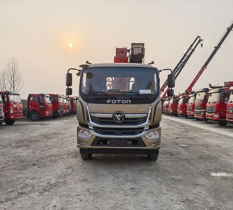 Foton Aumark Truck Mounted Mobile 6.3 Tons Telescopic Boom Crane