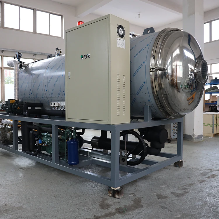 Pharmaceutical Lab Lyophilizer Freeze Dryer Chemical Food Vegetable Fruit Industrial Vacuum Freeze Drying Machine